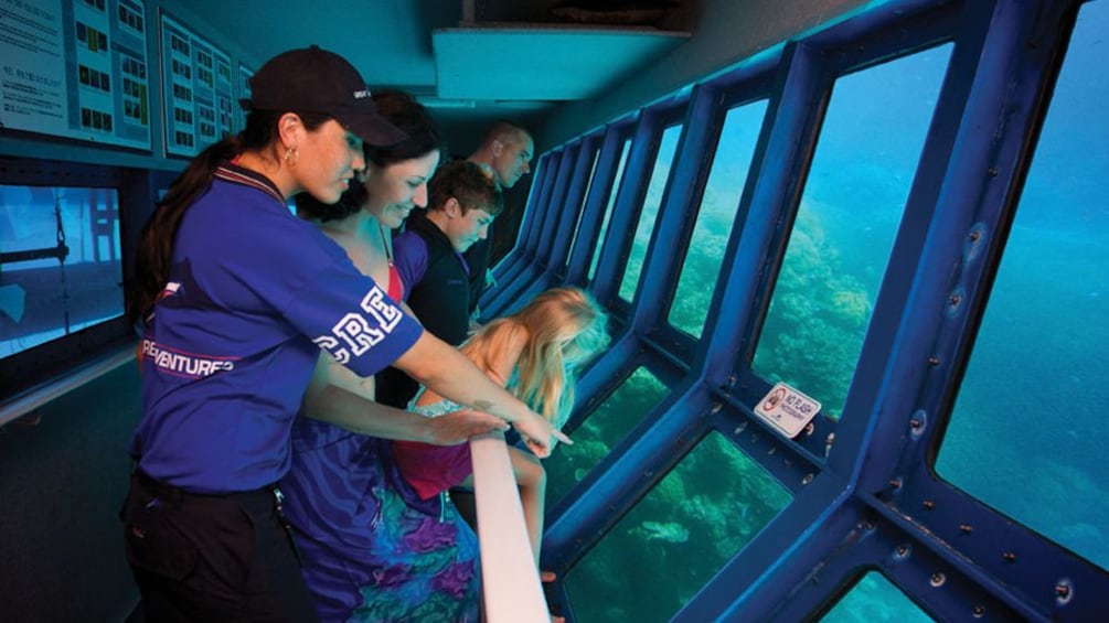Show item 5 of 8. Guests admire the underwater creatures and reef at the underwater observatory in Green Island Australia