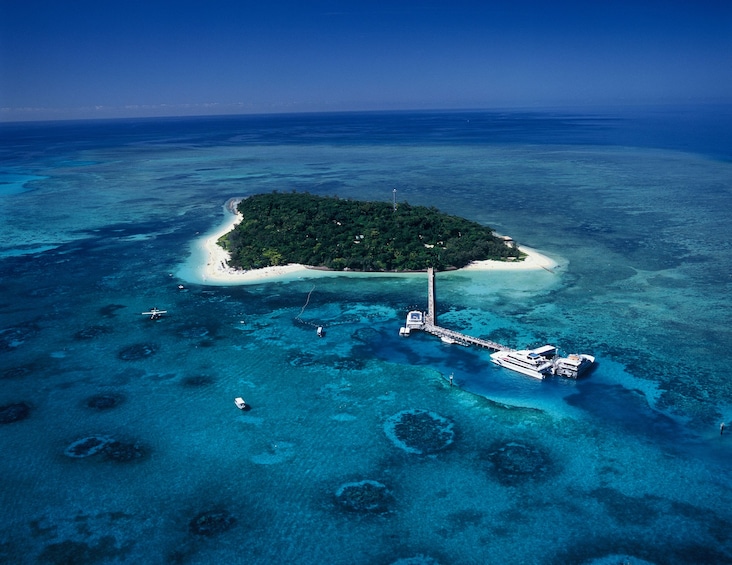 Show item 2 of 8. Great Adventures Green Island & Great Barrier Reef Adventure