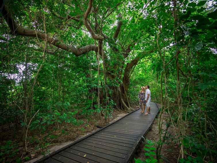 Great Adventures Green Island Eco Adventure Tour
