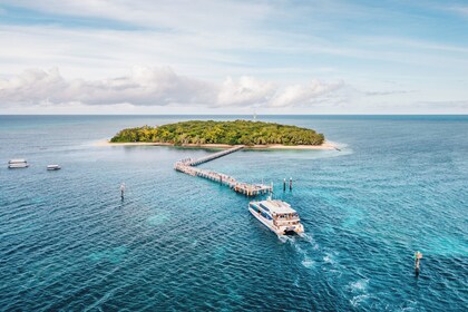 ตัวเลือกการล่องเรือไปยังเกาะกรีนบนแนวปะการัง Great Barrier Reef