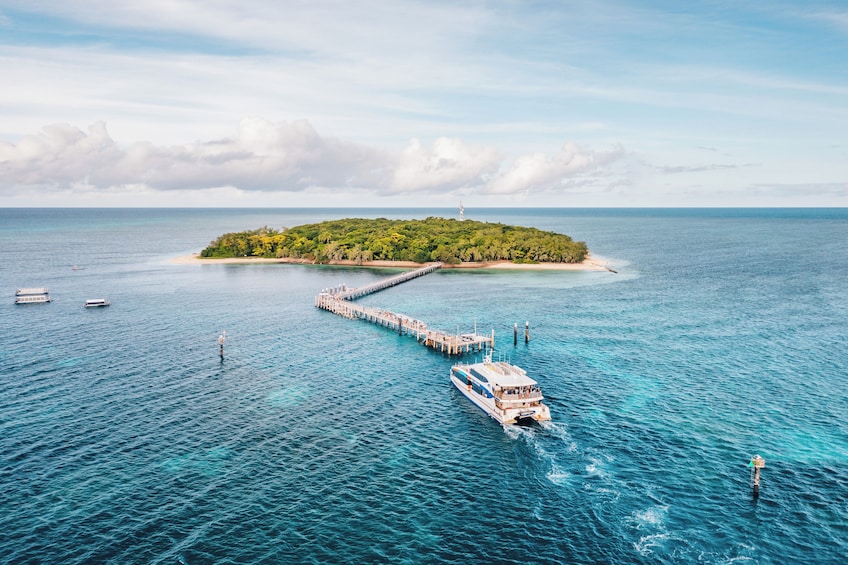 Cruise Options to Green Island on the Great Barrier Reef 