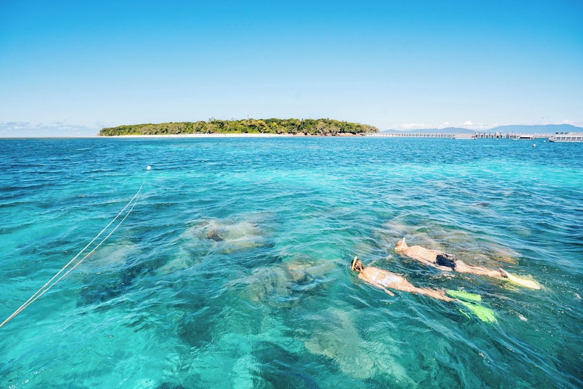 Cruise Options to Green Island on the Great Barrier Reef 