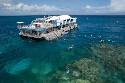 Reef Magic - Oplevelse af det ydre Great Barrier Reef