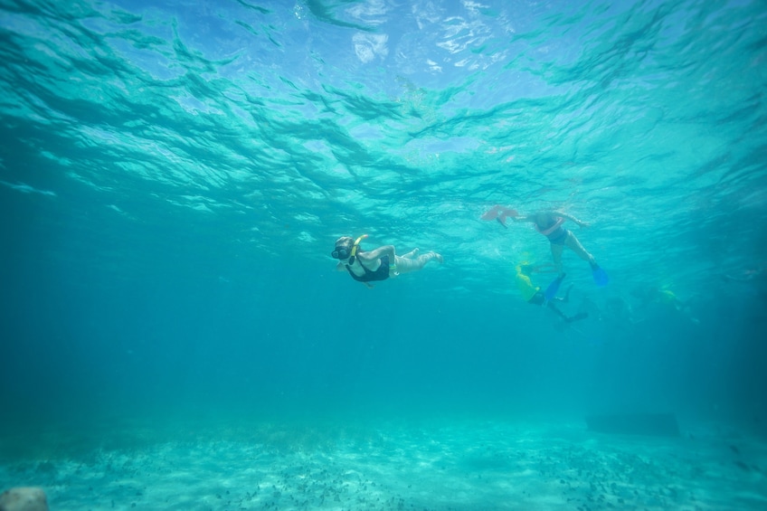 Caribbean Star Snorkeling Tour