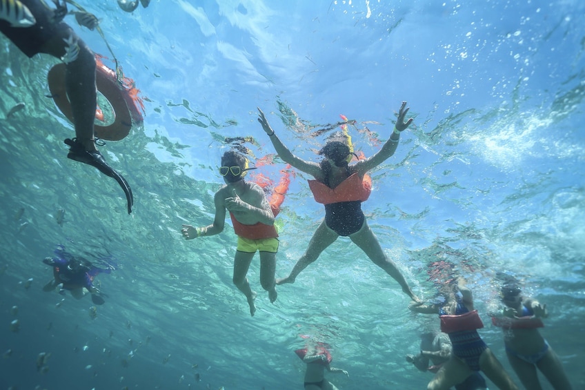 Caribbean Star Snorkeling Tour