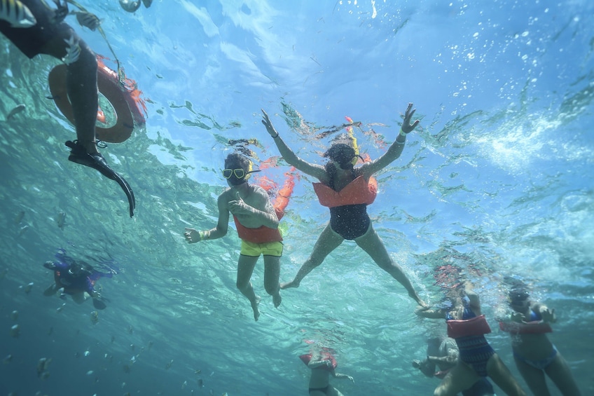 Caribbean Star Snorkeling Tour 