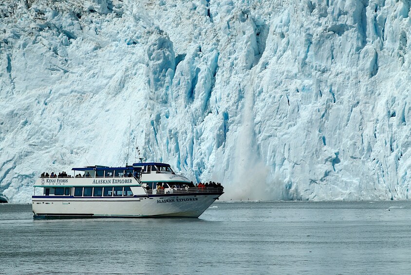 Kenai Fjords National Park Tour with Lunch