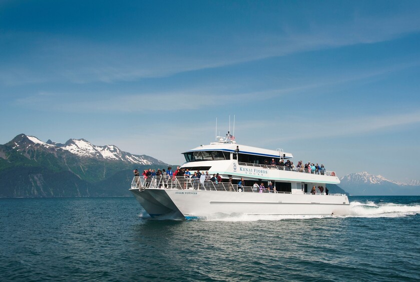 Kenai Fjords National Park Tour with Lunch