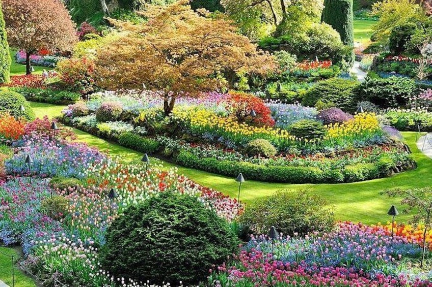 Victoria Butchart Garden