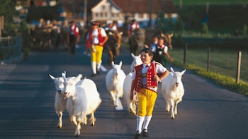Small-Group Swiss Traditions Tour of the Appenzell Region