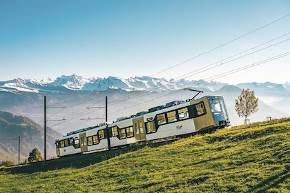 Croisière en bateau sur le mont Rigi et Lucerne au départ de Zurich