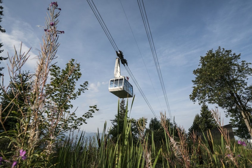 Mount Rigi & Lucerne Boat Cruise from Zurich