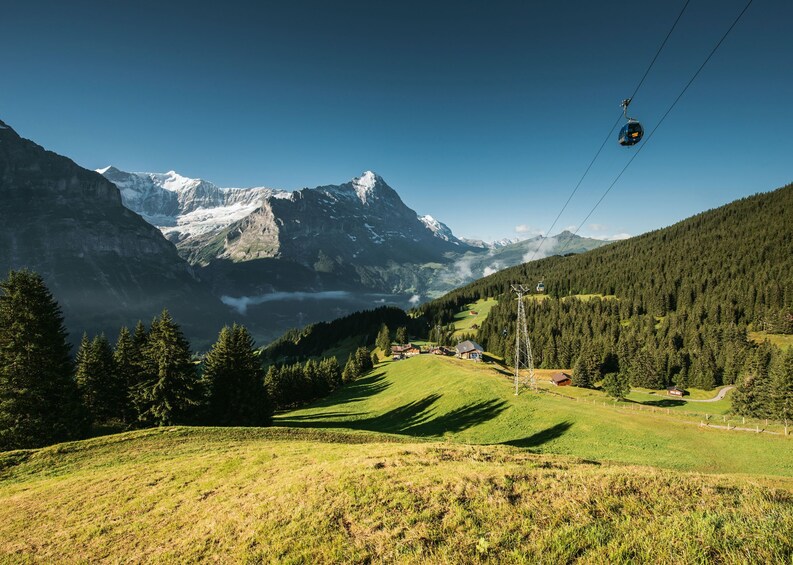 Interlaken & Grindelwald Day Trip from Zurich