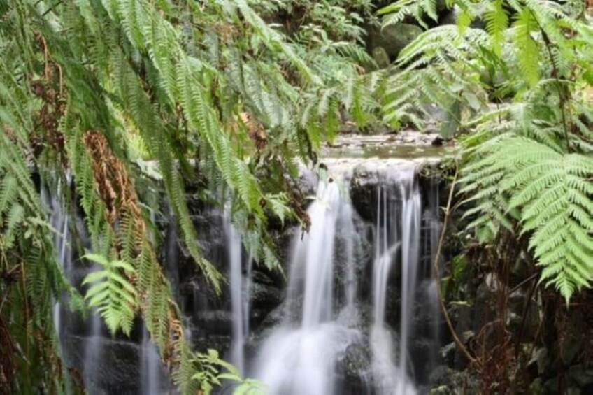 Rabacal to 25 Fontes Guided Levada Hike