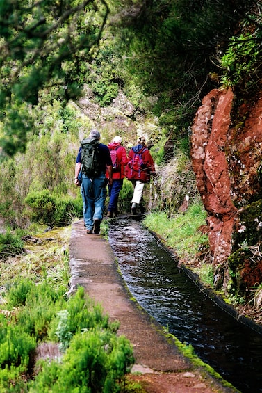 Rabacal to 25 Fontes Guided Levada Hike