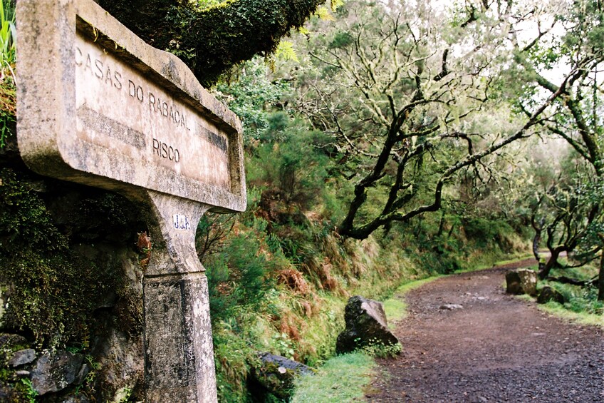 Rabacal to 25 Fontes Guided Levada Hike