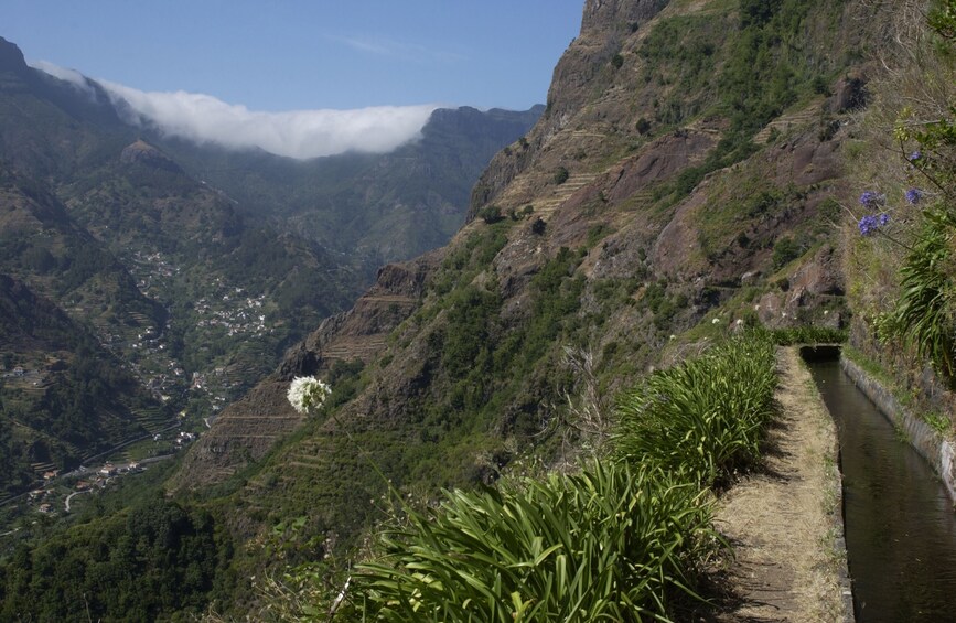 Boa Morte to Quinta Grande Guided Levada Hike