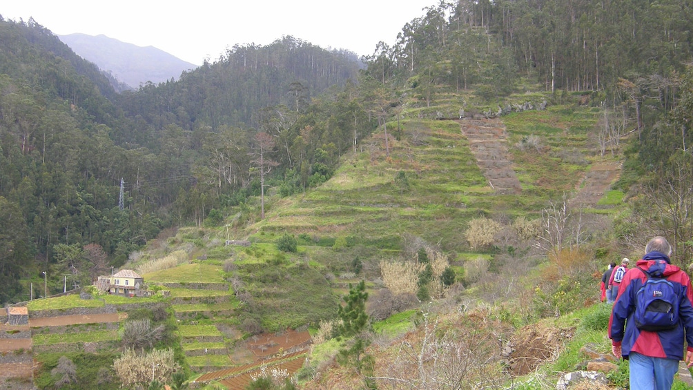 people hiking up a path in Madeira