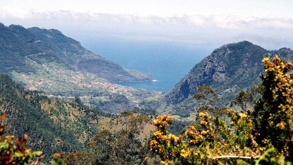 A scenic view of the coast of Madeira