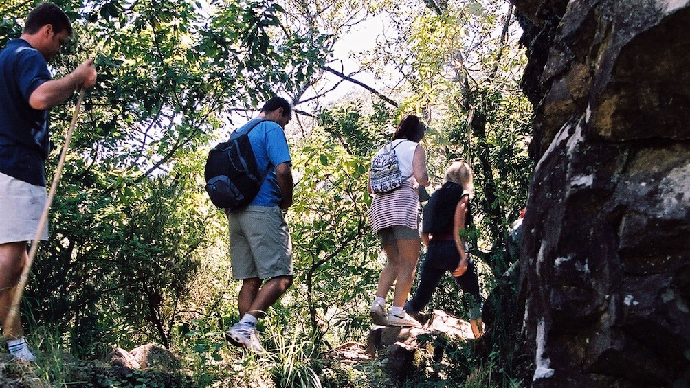 People hiking up a path in Madeira