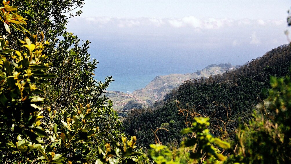 A scenic view of the coast from a mountain peak in Madeira