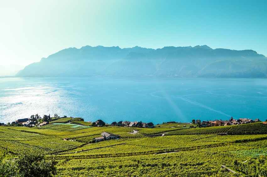 Chaplin, Montreux, Castle of Chillon & Lavaux Tour