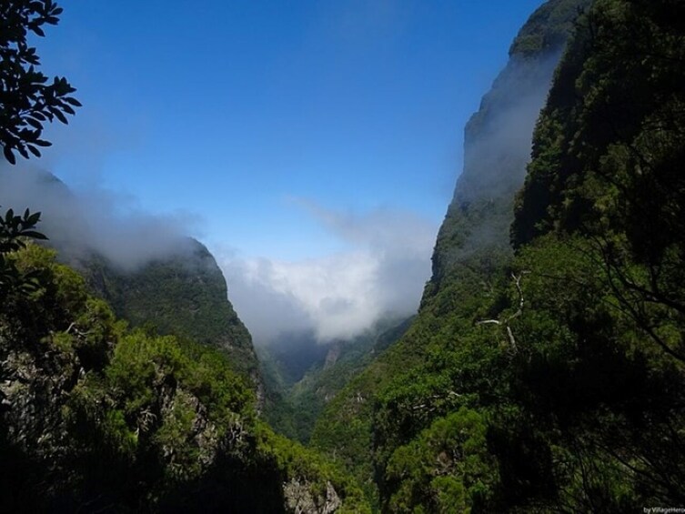 Queimadas to Caldeirao Verde Guided Levada Hike