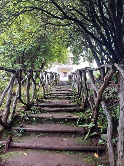 Queimadas to Caldeirao Verde Guided Levada Hike