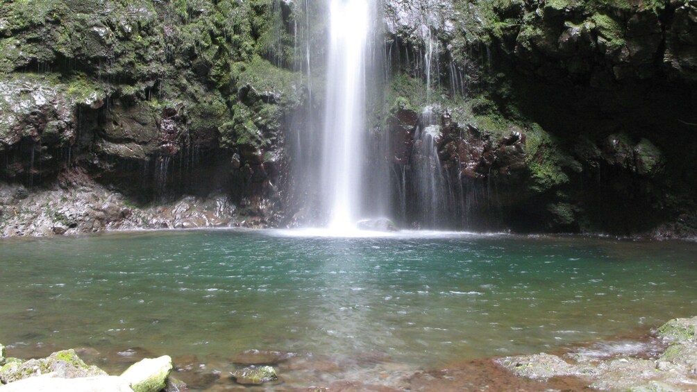 A waterfall in Madeira