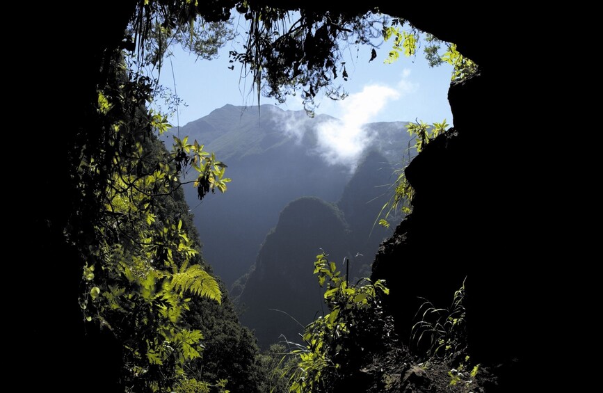 Queimadas to Caldeirao Verde Guided Levada Hike