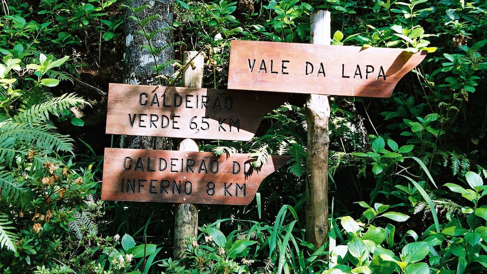Signs in a forest in Madeira