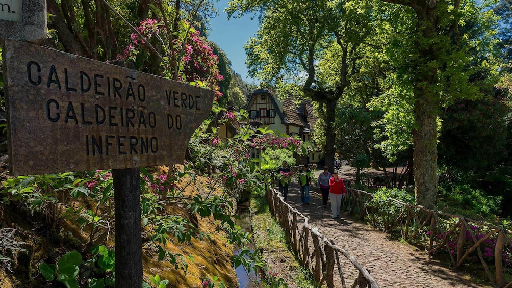 Queimadas to Caldeirao Verde Guided Levada Hike