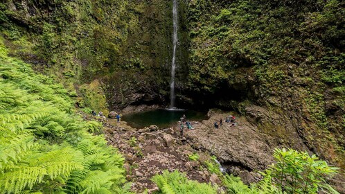 Von Queimadas nach Caldeirao Verde – Geführte Levada-Wanderung