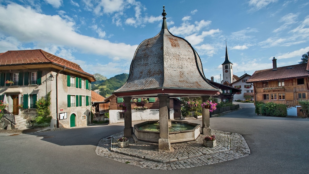 town center in geneva