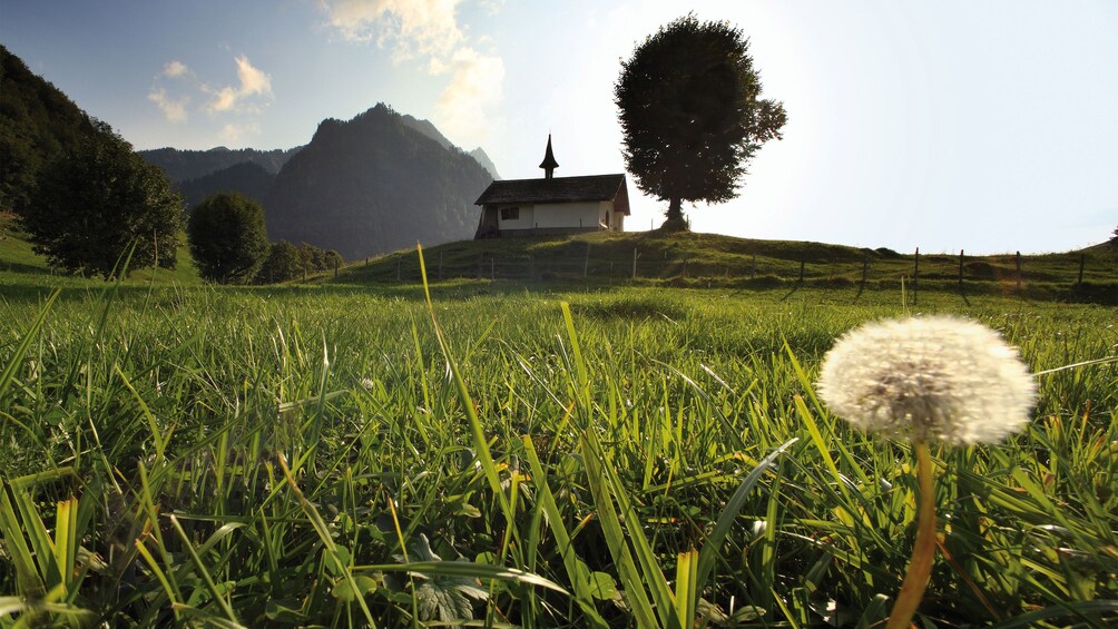 countryside in geneva