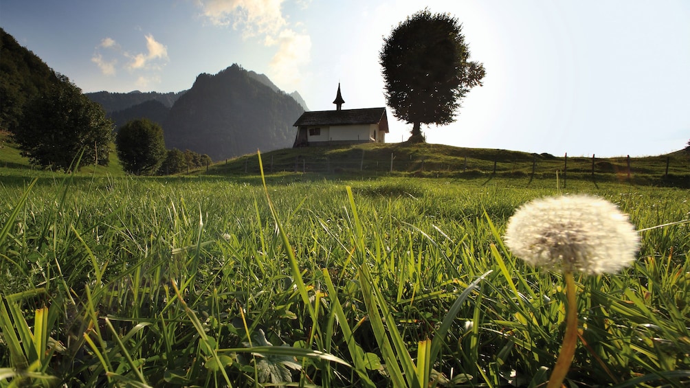 countryside in geneva