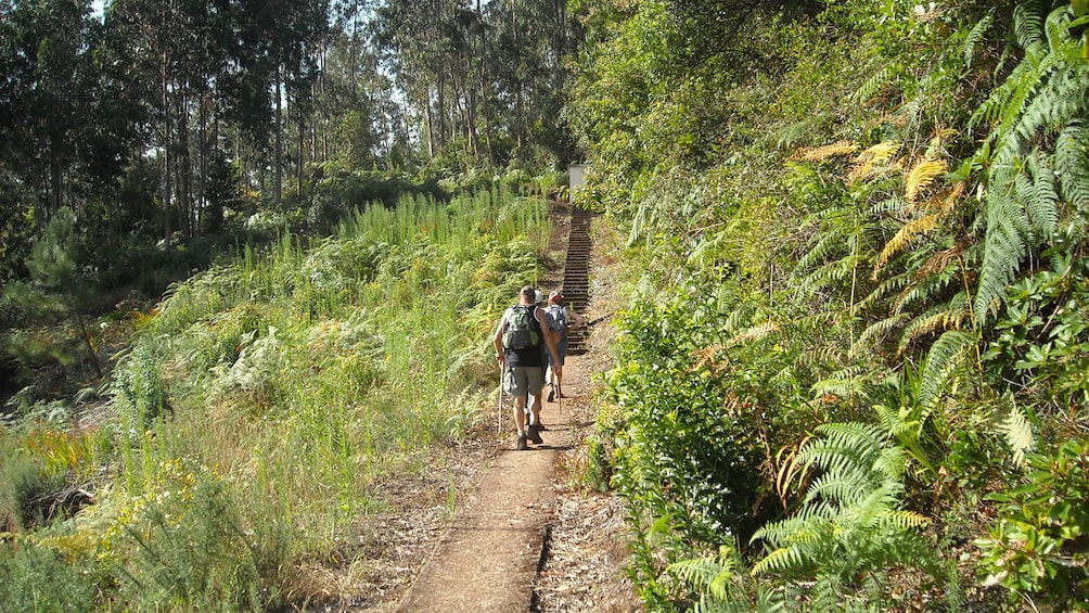 People hiking along a levada in Madeira