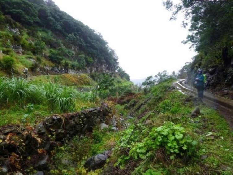 Porto da Cruz to Castelejo Guided Levada Hike