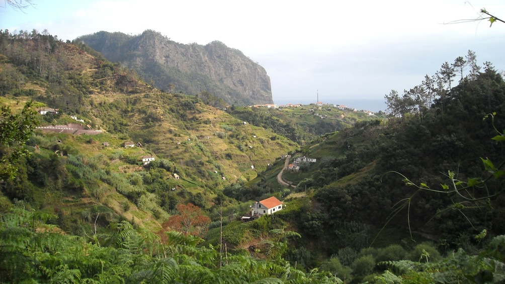 rolling hills in Madeira