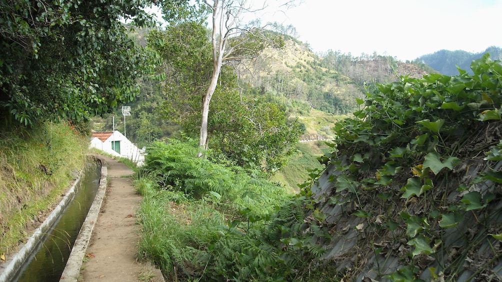 A levada leading to a village in Madeira