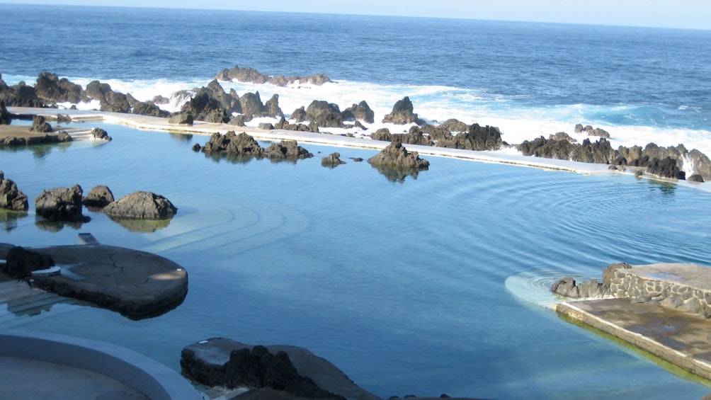 tide pools along a rocky shore in Madeira