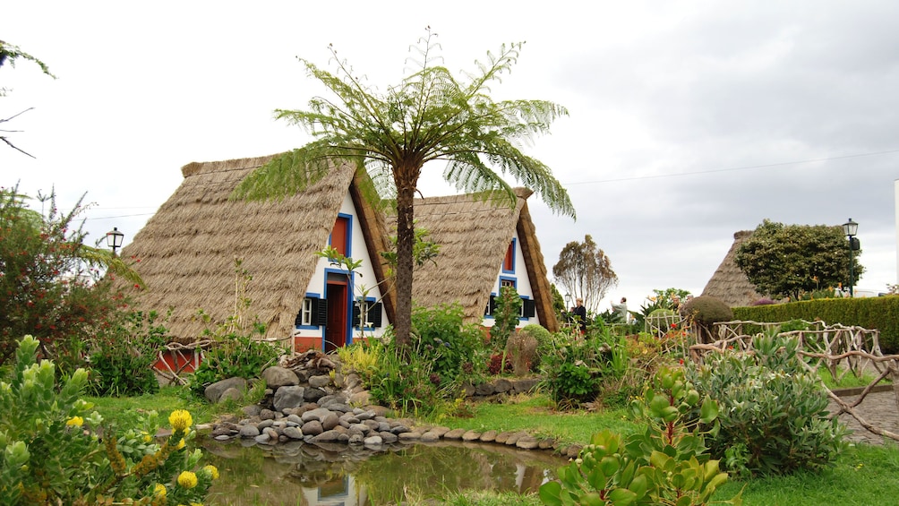 Traditional thatched cottages in Santana