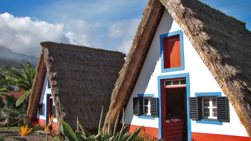 Colorful cottages in Santana