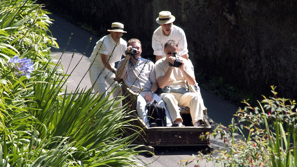 People taking photos in Madeira