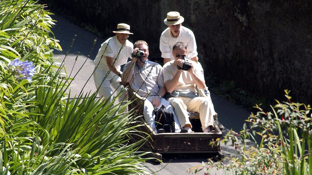 People taking photos in  Madeira