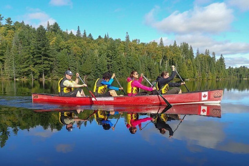 6 Hour Algonquin Park Canoe Trip