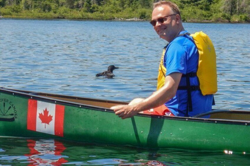 6 Hour Algonquin Park Canoe Trip