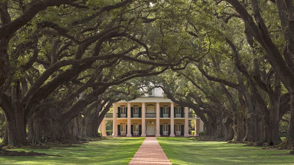 mansion down street of tall trees in New Orleans