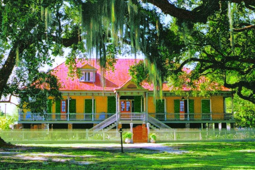 Guided Day Tour of Laura & Oak Alley Plantation