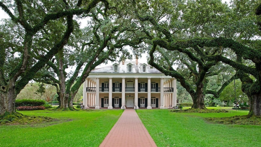 Guided Day Tour of Laura & Oak Alley Plantation